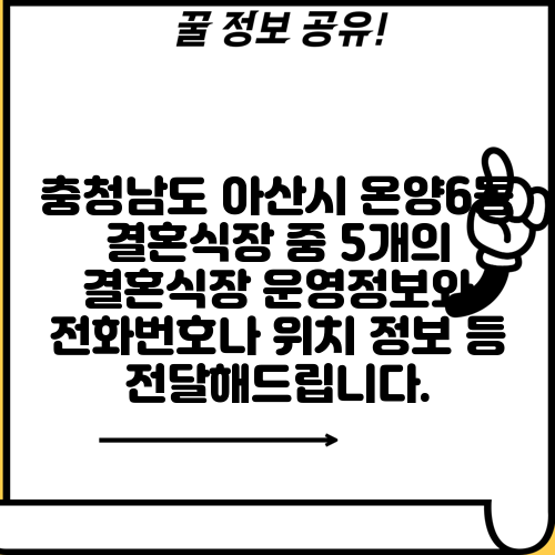 충청남도 아산시 온양6동 결혼식장 중 5개의 결혼식장 운영정보와 전화번호나 위치 정보 등 전달해드립니다.