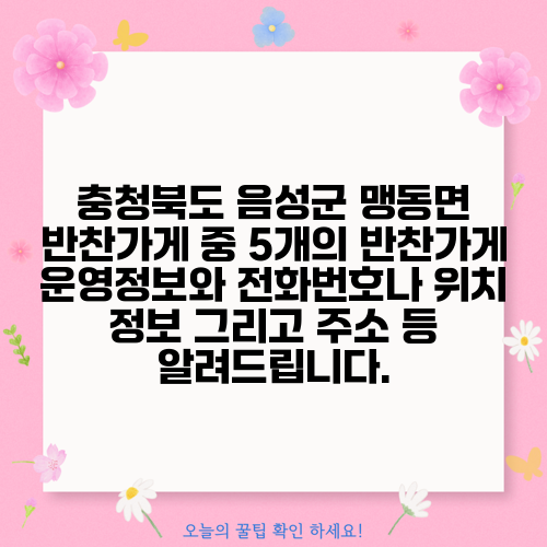 충청북도 음성군 맹동면 반찬가게 중 5개의 반찬가게 운영정보와 전화번호나 위치 정보 그리고 주소 등 알려드립니다.